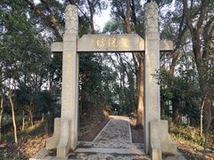 -上海佘山国家森林公园天马山园