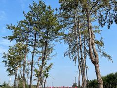 -汉长安城未央宫国家考古遗址公园