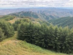 -苏木山森林公园