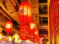 -谭鸭血老火锅(万象九宜城店)