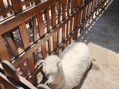 -瑞博尔花园酒店(太周创新产业园店)