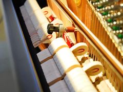 -柏斯琴行(汾阳店)