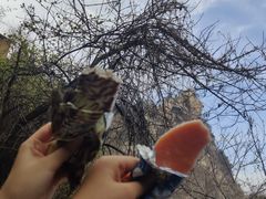 -秦岭终南山世界地质公园翠华山景区