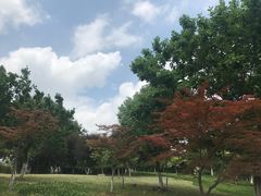 -白塘生态植物园