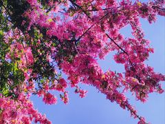 -英西峰林·洞天仙境