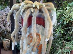 -山菌美食苑(振兴路店)