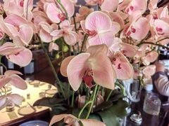 -八府香鸭·啫啫煲(华山路店)