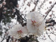 -云龙山