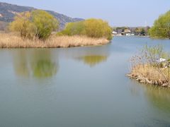 -长广溪湿地公园