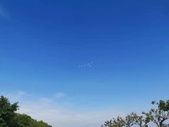 -大湾区中央湿地公园