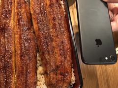 超大鳗鱼饭-本家 柴藤