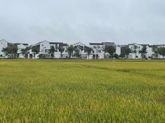 -东梓关景区村庄