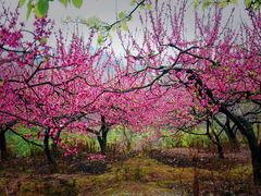 -金堂县云顶石城风景区