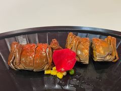 -月湖萃·上海菜(思南公馆淮海店)