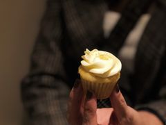 -Seesaw Coffee(上生新所店)
