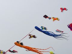 -潍坊滨海云门国际风筝放飞场