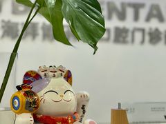 -泰康拜博口腔(世博园乐尔店)