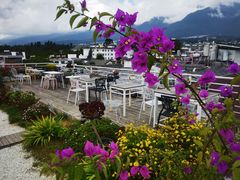 -唐咖精品咖啡(大理古城手冲店)