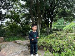 -虞山城墙