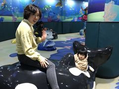 -青岛嘉年华主题乐园