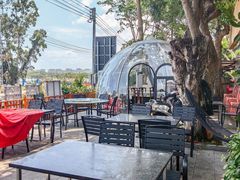 -岛中岛·海鲜大排档·万宁老字号(东澳店)