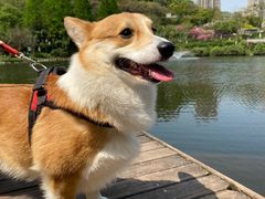 -重庆彩云湖湿地公园