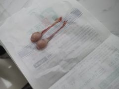 -福州肆爪动物医院