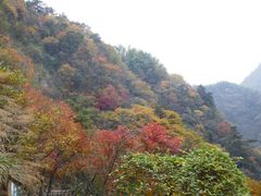 -岳西天峡风景区
