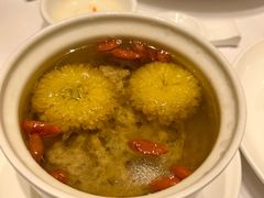 杞菊猪肉汤-宝园酒家(美林M·LIVE天地东座店)
