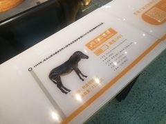 -正佳自然科学博物馆