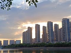 -五缘湾湿地公园