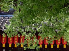 -龙华寺