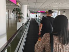 -郑州新郑国际机场-T2航站楼