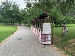 -御林古桑园
