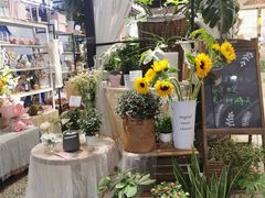 -Libra Flora花店(骆岗中央公园店)