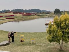 -空港花田景区