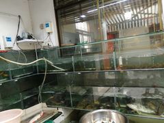 -旺山·浪头人家