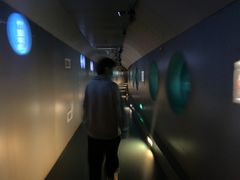 -白鹤梁水下博物馆