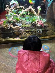 -酷嗒动物文化乐园(cutezoo西溪乐天城店)