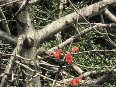 -点都德(广州白云山景区南门店)