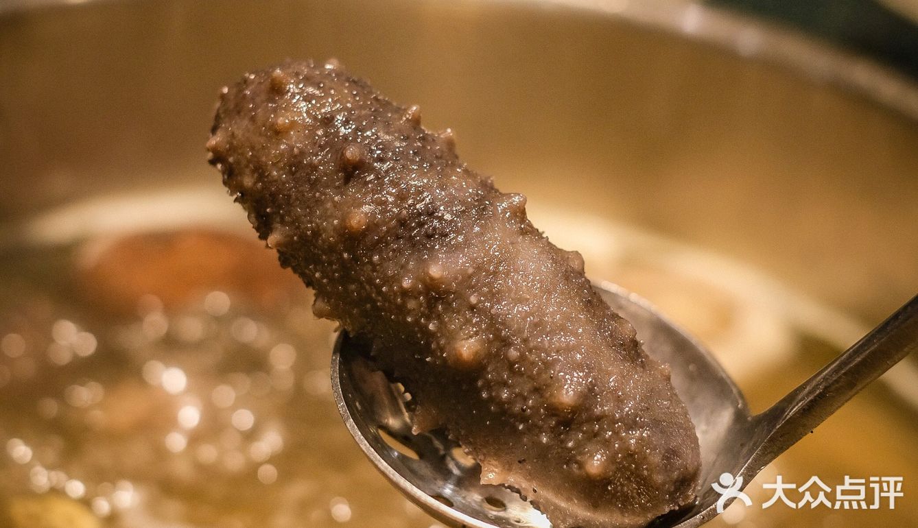 象拔蚌海鲜火锅出新了‼️手抓厚肉海参大口吃❗️