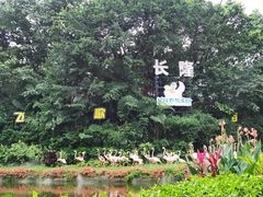 -广州长隆飞鸟乐园