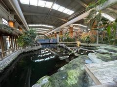 -南宫五洲植物乐园