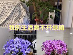 -豆豆花艺(新光天地店)
