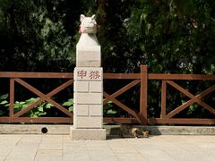 -四门塔风景区