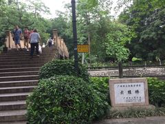 -晓港公园