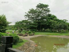 -大屏嶂森林公园