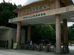 -广东茂名森林公园