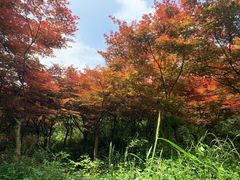 -天河潭旅游度假区