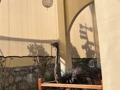 -华谊兄弟（长沙）电影小镇